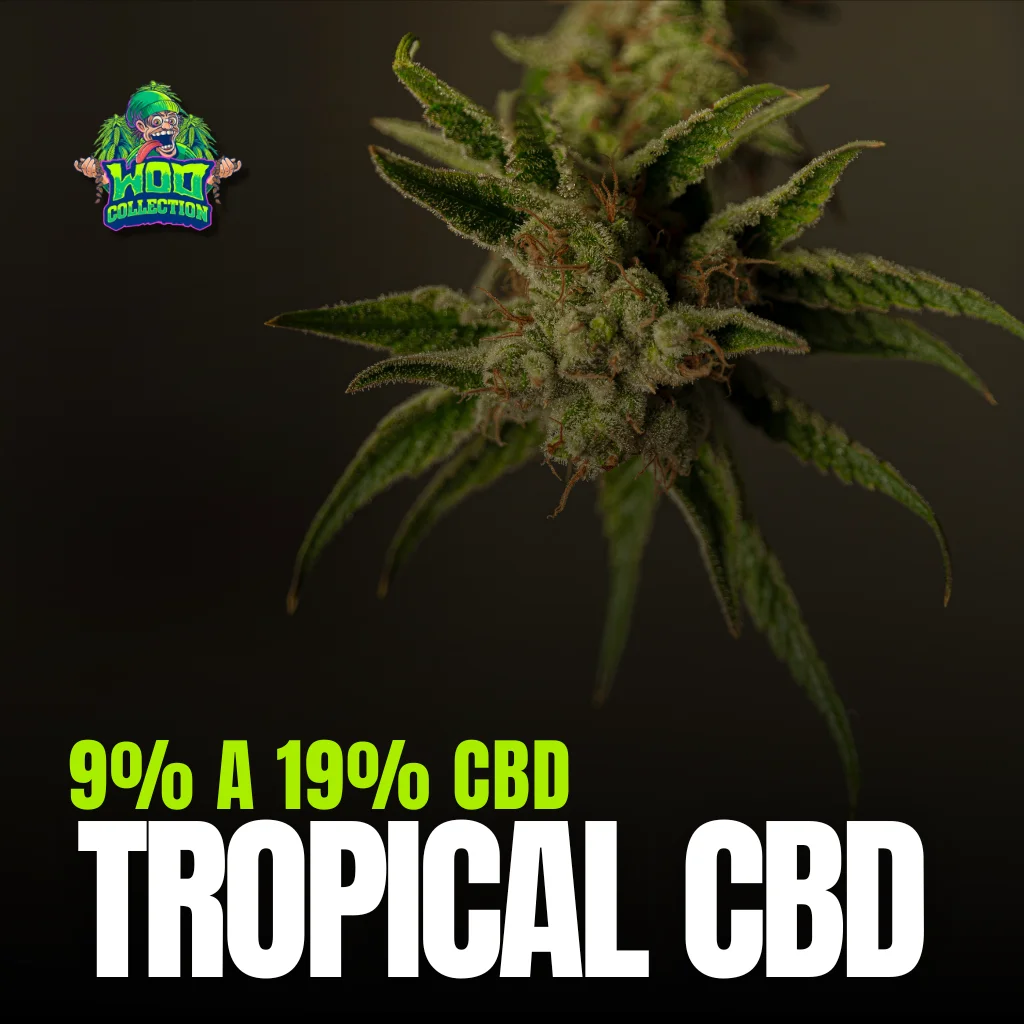 Tropical CBD