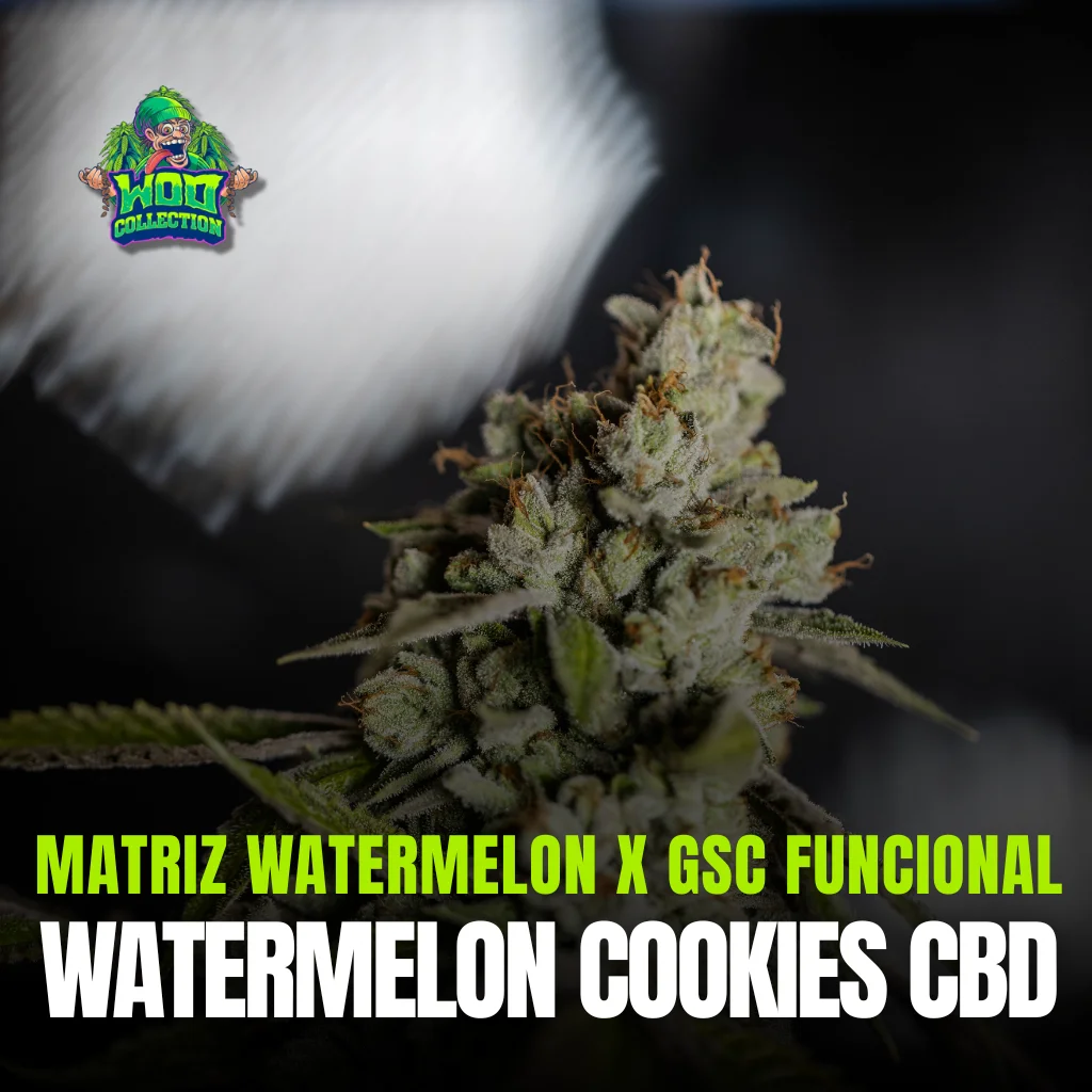 Watermelon Cookies CBD